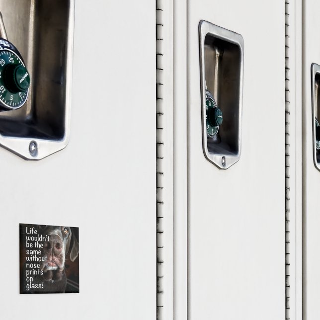 Aimant Chocolat Lab Nez Fermer la photo (In situ (casier))