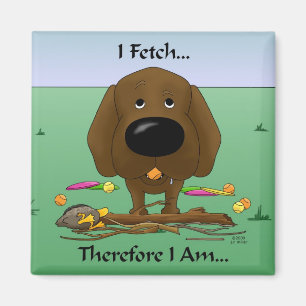 Aimant Chocolat Labrador (laboratoires) - je cherche…