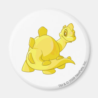 Aimant Chomby Gold