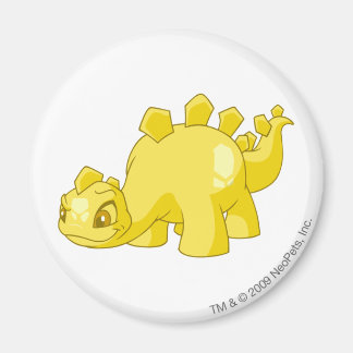Aimant Chomby Gold