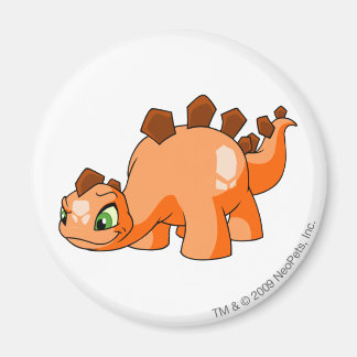 Aimant Chomby Orange
