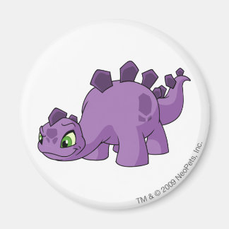 Aimant Chomby violet