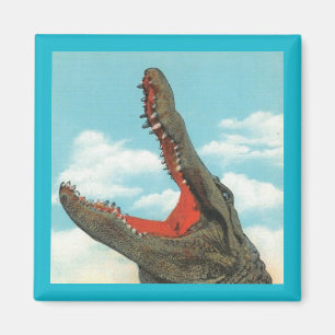 Aimant Chompe d'alligator
