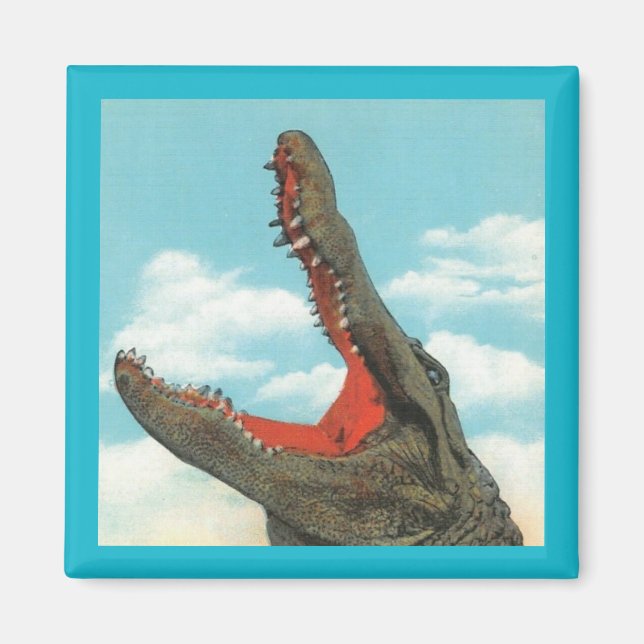 Aimant Chompe d'alligator (Devant)