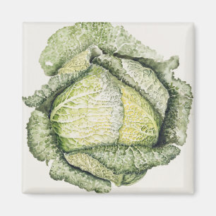 Aimant Chou de Milan