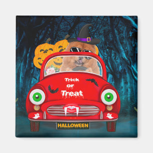 Aimant Chow Chow Chig Conduire voiture effrayant Hallowee