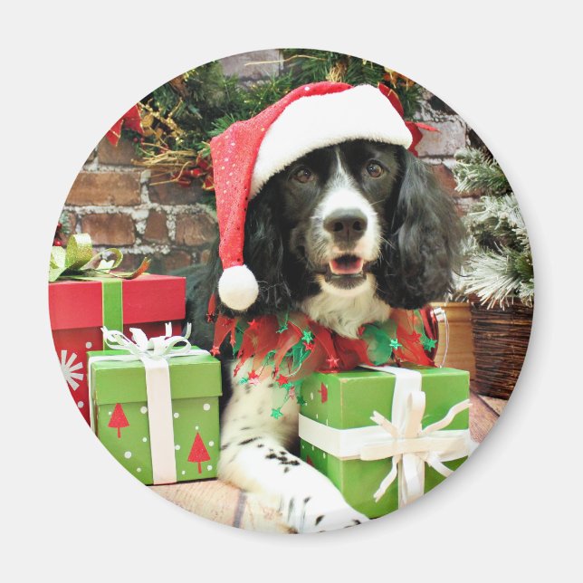 Aimant Christmas - English Springer Espagne - Lucy (Devant)