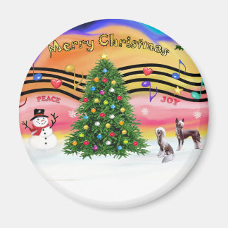 Aimant Christmas Music 2 - Chinese Crested (2 HL)