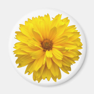 Aimant Chrysanthème