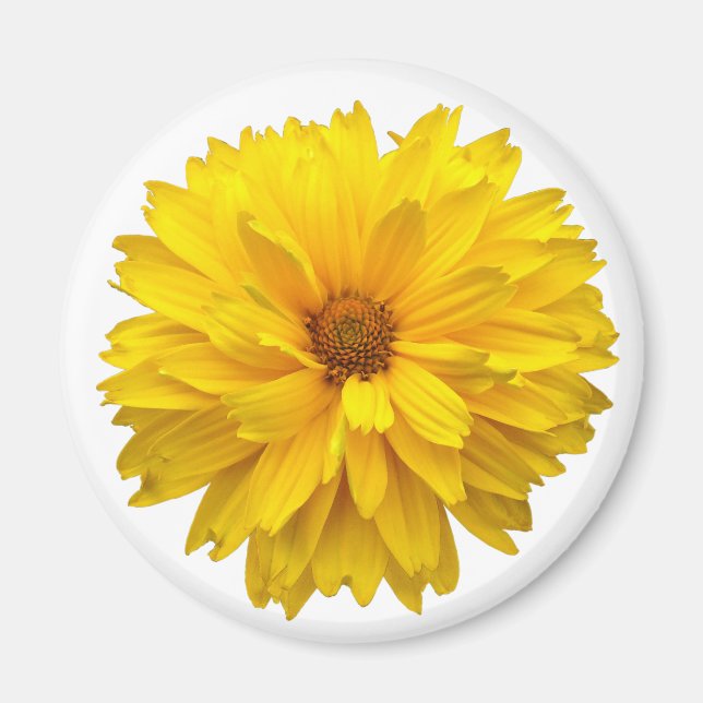 Aimant Chrysanthème (Devant)