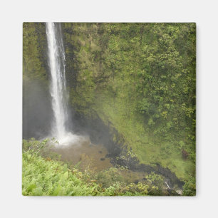 Aimant Chutes Akaka, côte de Hamakua, île d'Hawaï,