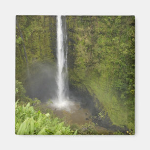 Aimant Chutes Akaka, côte de Hamakua, île d'Hawaï,