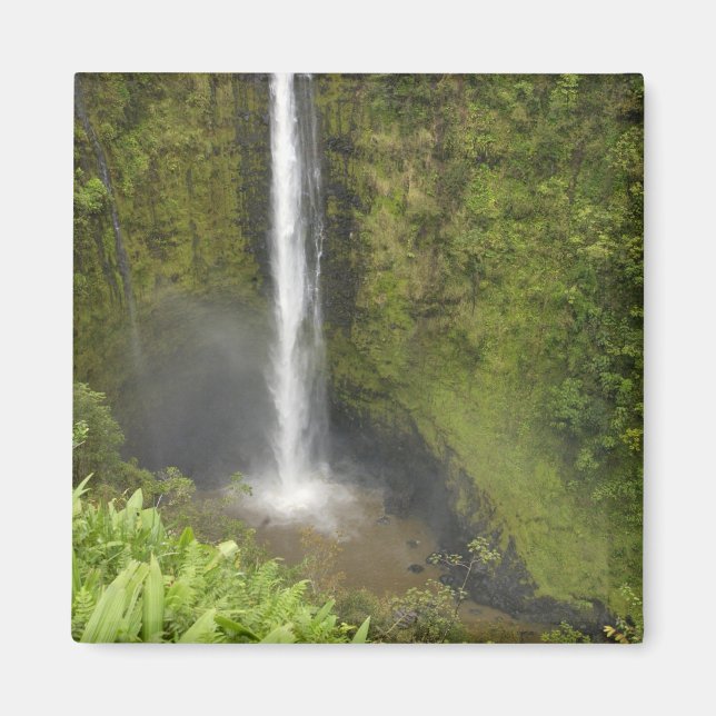Aimant Chutes Akaka, côte de Hamakua, île d'Hawaï, (Devant)