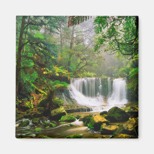 Aimant Chutes de fer à cheval entourées de forêt tropical