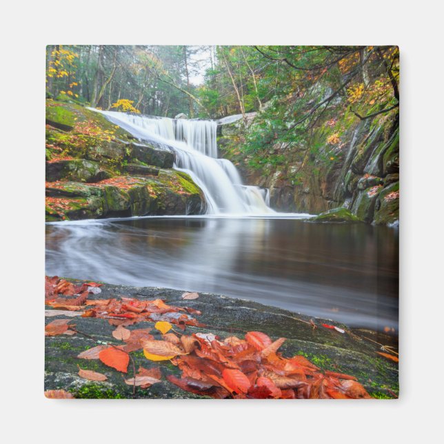 Aimant Chutes d'Ender à l'automne (Devant)