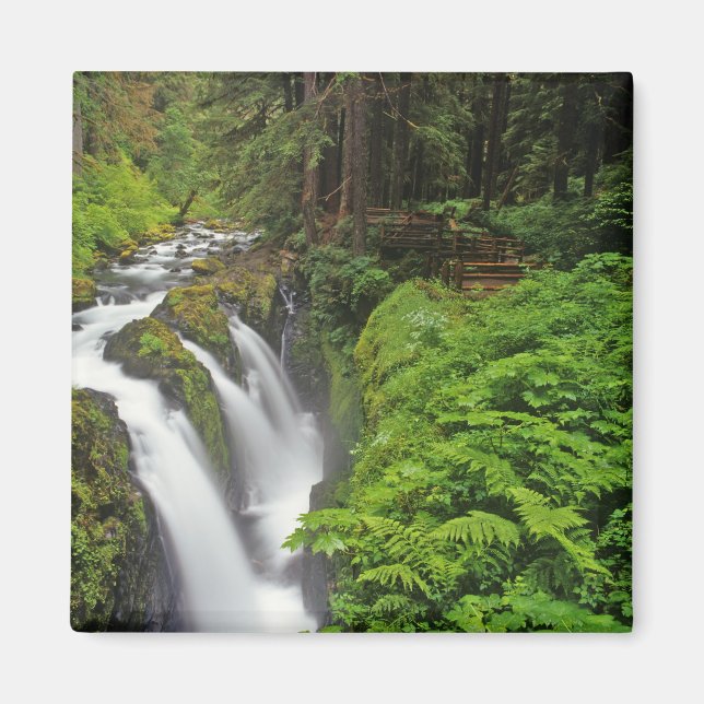 Aimant Chutes Sol Duc dans le parc national Olympique en  (Devant)