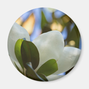 Aimant Ciel de Verre Peint Magnolia du Sud Vêtements Cade