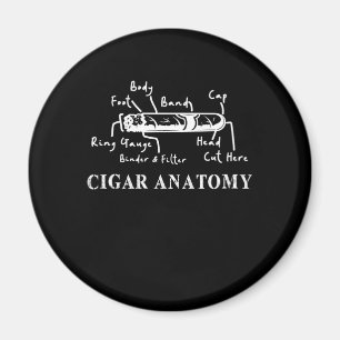 Aimant Cigar Anatomie Smoker Humidor Cutter Cigars Cadeau