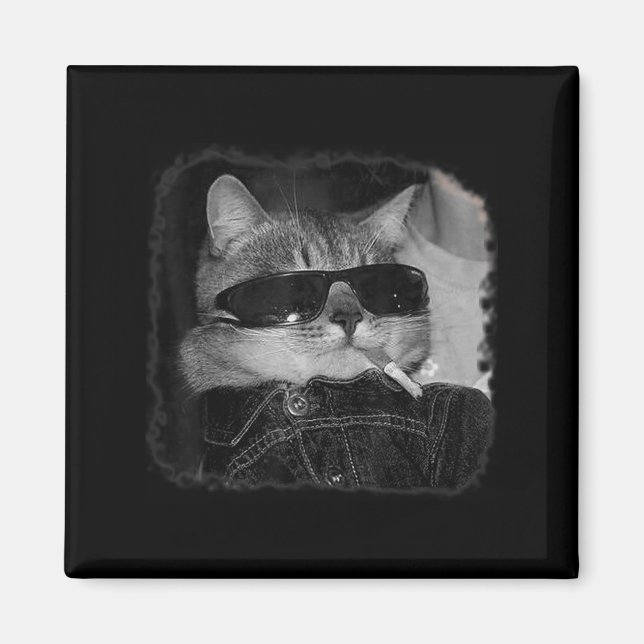 Aimant Cigarette Kitten Gang Chat Fumer Cigarette Drôle (Devant)