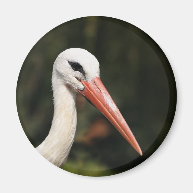 Aimant Cigogne - symbole de Strasbourg et d'Alsace, Franc (Devant)