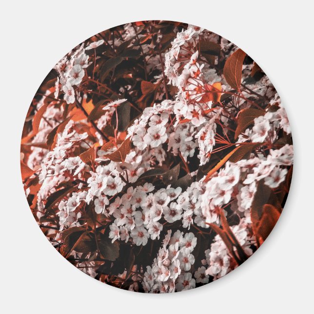 Aimant circulaire (Devant)