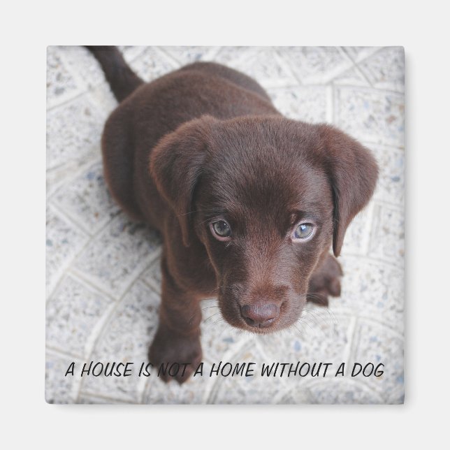 Aimant Citation de chiot (Devant)