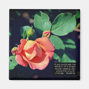 Aimant Citation Motivationnelle Rose rose