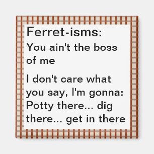 Aimant Citations Furet-ISM drôles