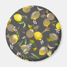 Citrons aquarelle 34