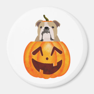 Aimant Citrouille Bulldog