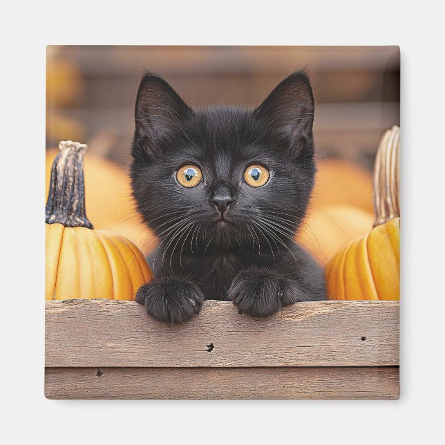 Aimant Citrouille Patch Kitten (Devant)
