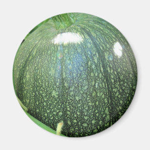 Aimant Citrouille vert
