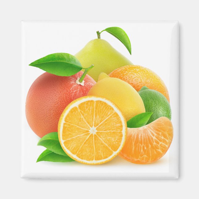 Aimant Citrus fruits (Devant)
