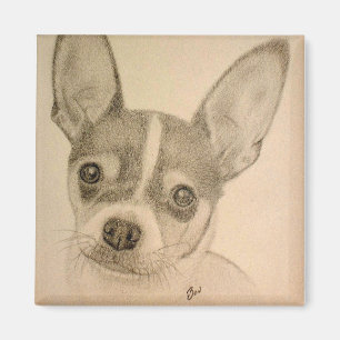 Aimant Claire l'aimant de Teddy Roosevelt Terrier