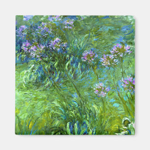 Aimant Claude Monet : Agapanthus
