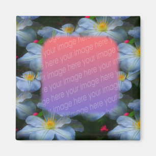 Aimant Clematis Blanc Fleur Votre Photo