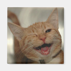 Aimant Cligner de l'oeil le chat heureux de gingembre