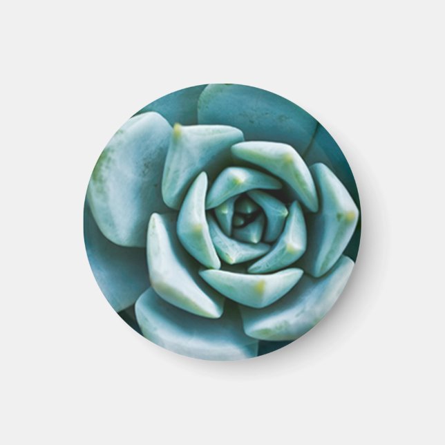Aimant Closeup Succulent (Devant)