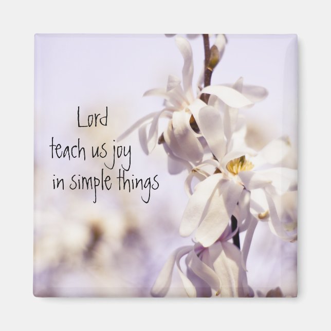 Aimant Closeup White Dogwood floraison art photo