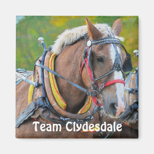 Aimant Clydesdale Draft Horse Team Magnetic Art Cadeau