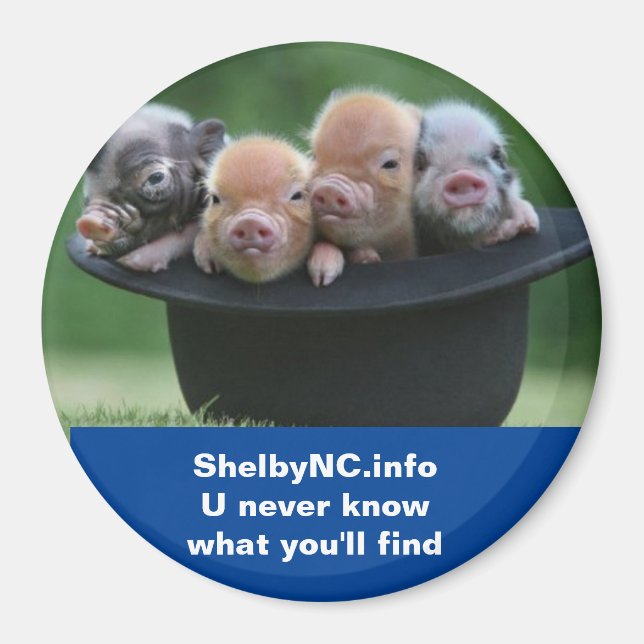 Aimant CN Shelby (Devant)