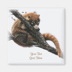 Aimant : Coatimundi #5 (Carré)