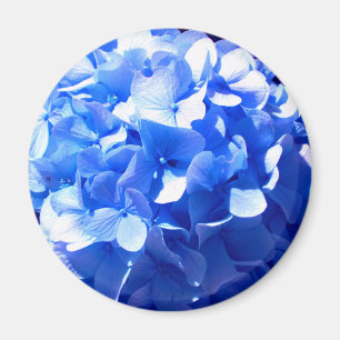 Aimant Cobalt Blue Hydrangea
