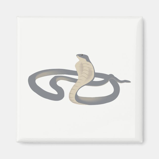 Aimant Cobra (Devant)