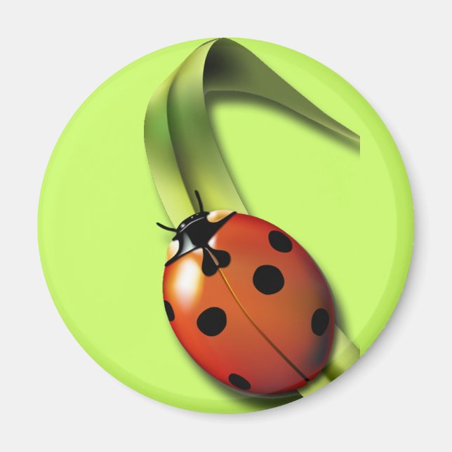 Aimant Coccinelle (Devant)