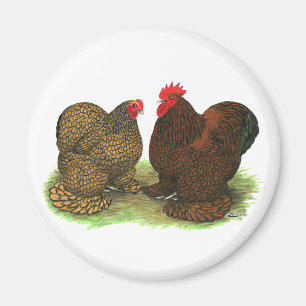 Aimant Cochins : à tôle dorée