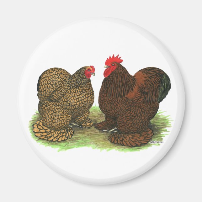 Aimant Cochins : à tôle dorée (Devant)