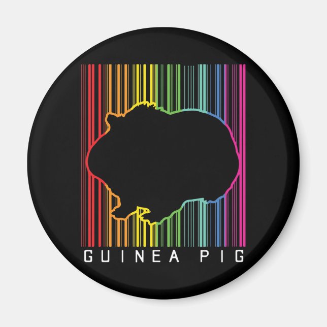 Aimant Cochon de Guinée (Devant)