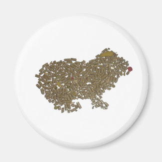 Aimant Cochon de Guinée