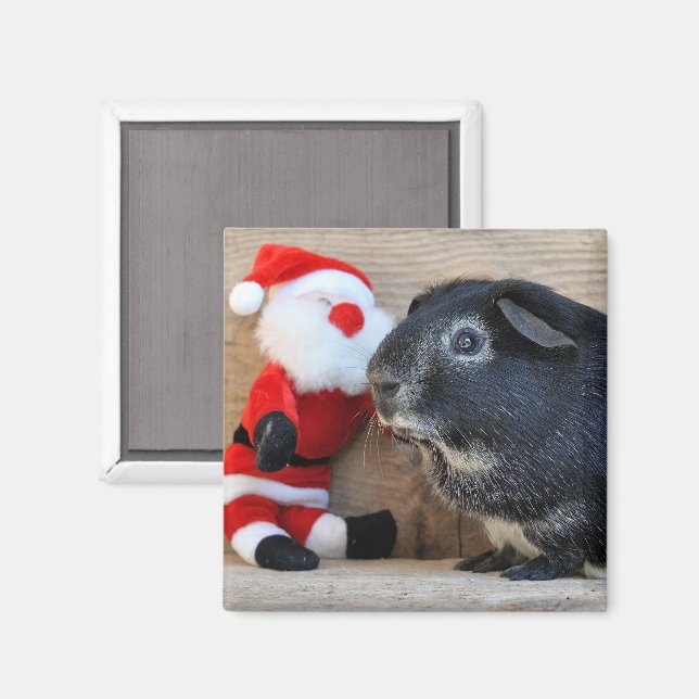 Aimant Cochon de Guinée et Père Noël (Recto/Verso)